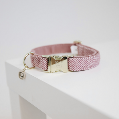 Collier pour chien Wool  - Kentucky