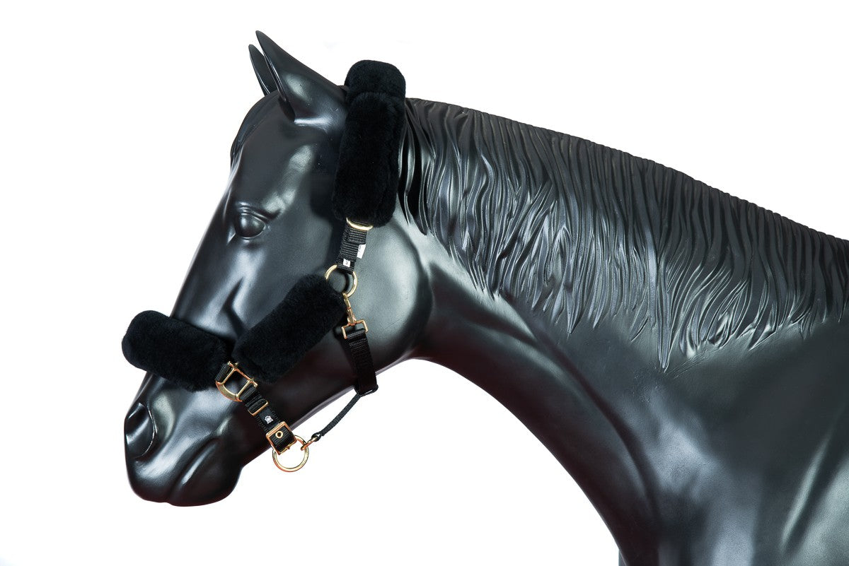 Mattes Deluxe Winter 2020 Edition Halter and Lead - Black