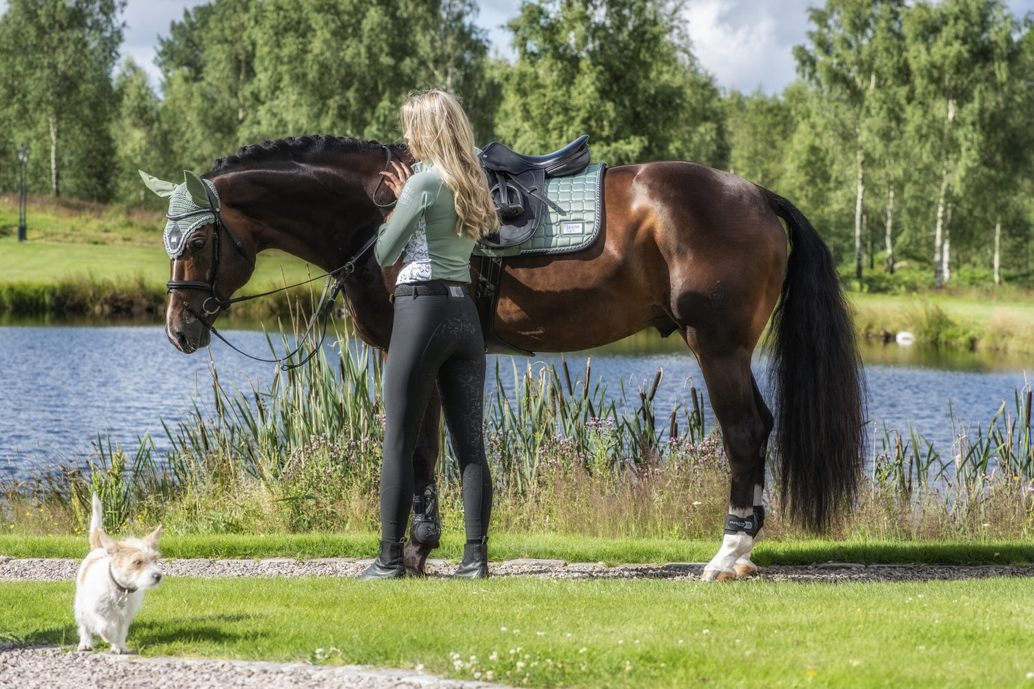 PEPPERMINT saddle pad - Equito