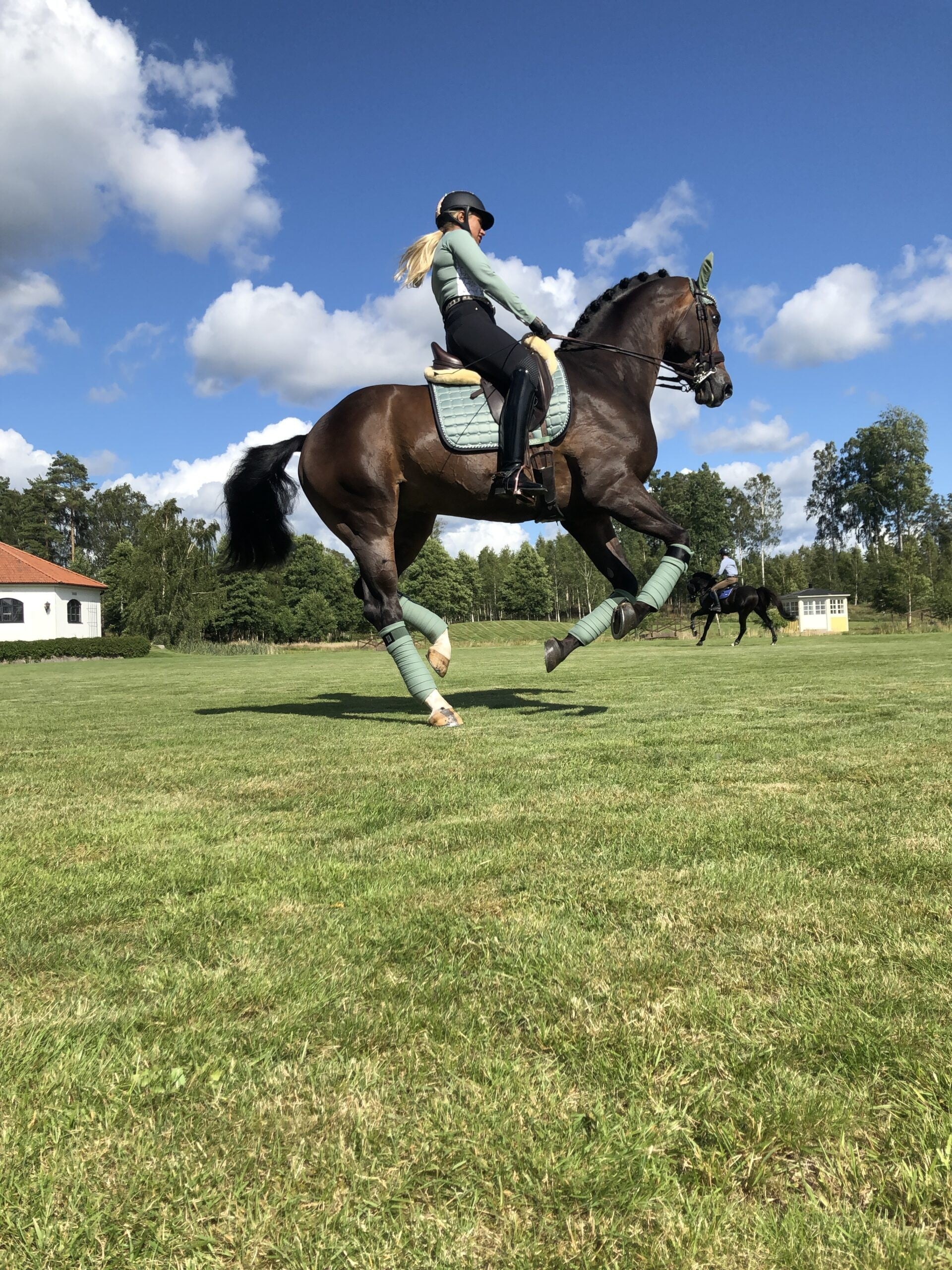 PEPPERMINT saddle pad - Equito