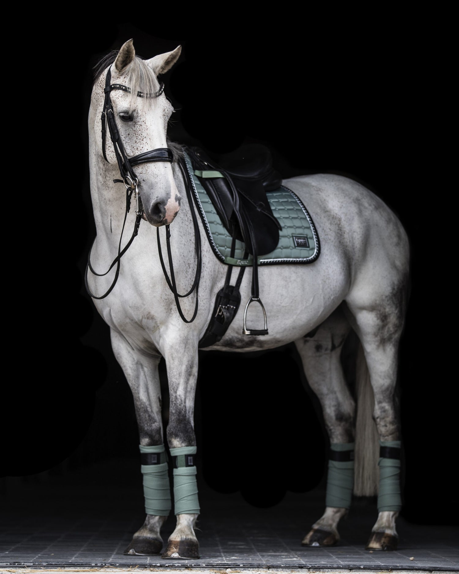 Bandes polaire Peppermint - Equito