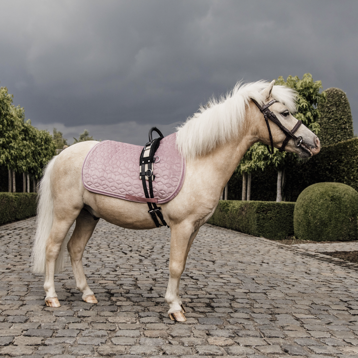 Tapis Velvet Pony - Kentucky