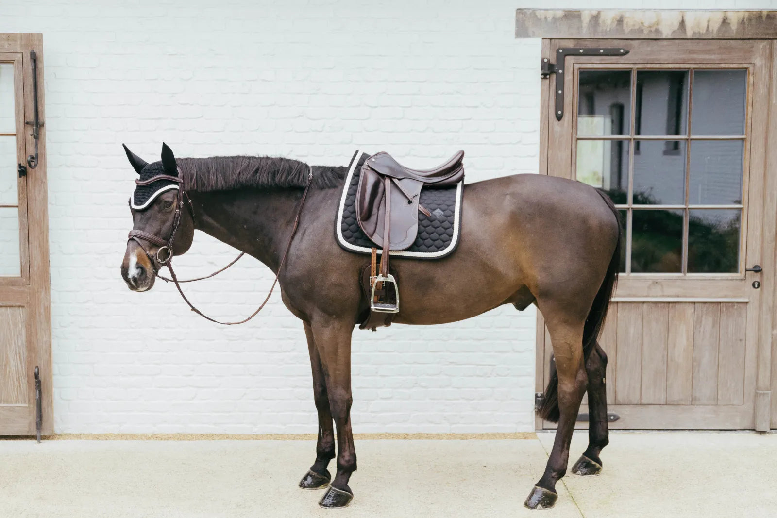 Tapis de selle Plaited Cord DRESSAGE - Kentucky