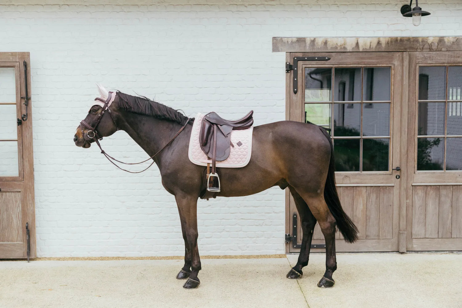 Tapis de selle Plaited Cord DRESSAGE - Kentucky
