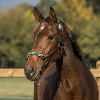 Rope halter - HORKA
