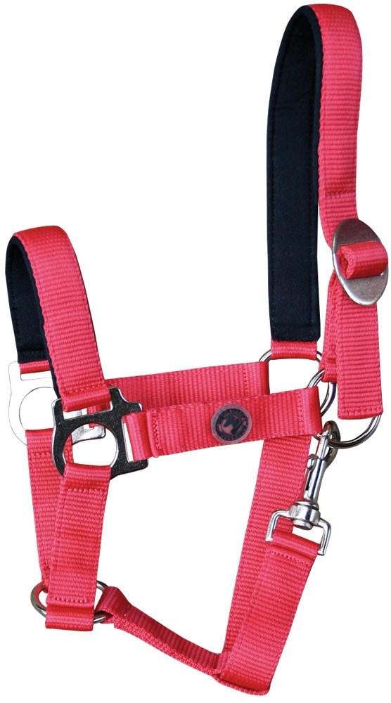 Lined halter - Harry&