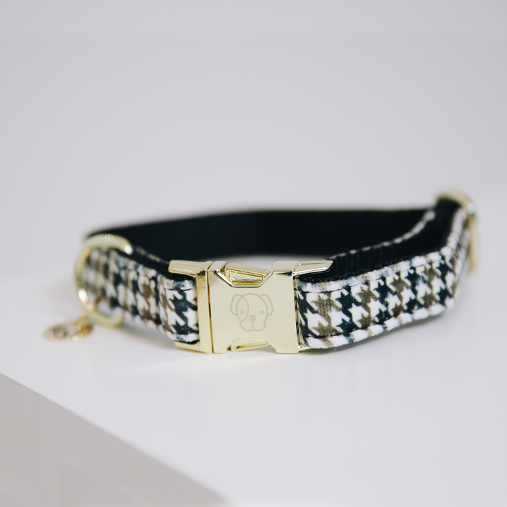 Houndstooth dog collar - Kentucky
