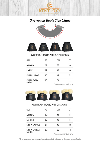 Sheepskin Leather Bells - Kentucky