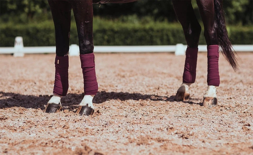Bandes de polo PURPLE WHITE EDGE - Equestrian Stockholm