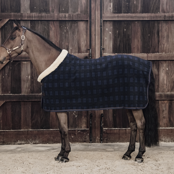 Show Heavy Drying Blanket - Kentucky