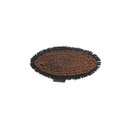 Brosse douce à poils durs - Kentucky