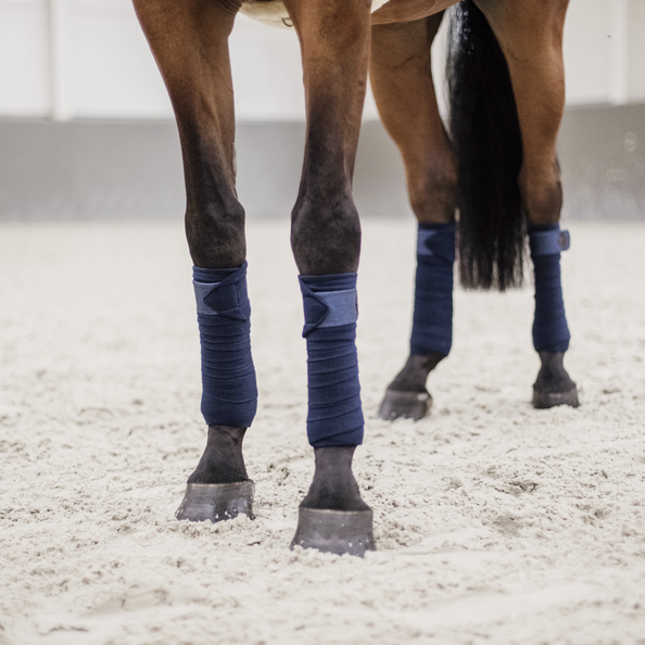 Glitter Polo Stripes - Kentucky
