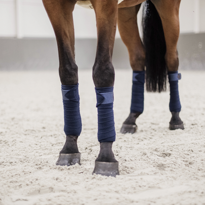 Glitter Polo Stripes - Kentucky