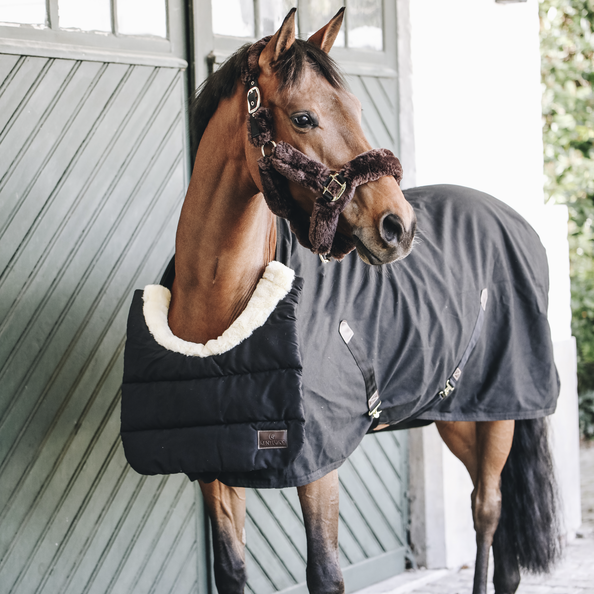 Horse Bib Winter - Kentucky