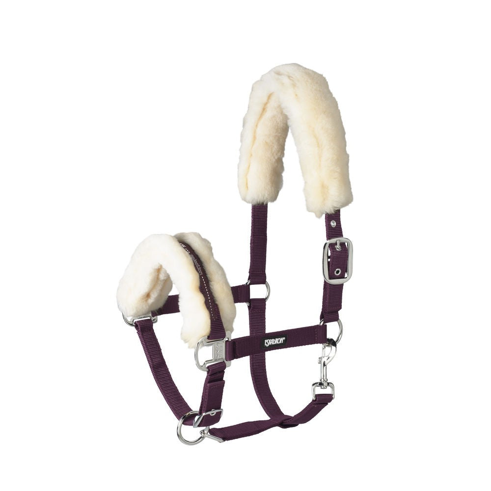 Licol Basics doublé mouton - Eskadron
