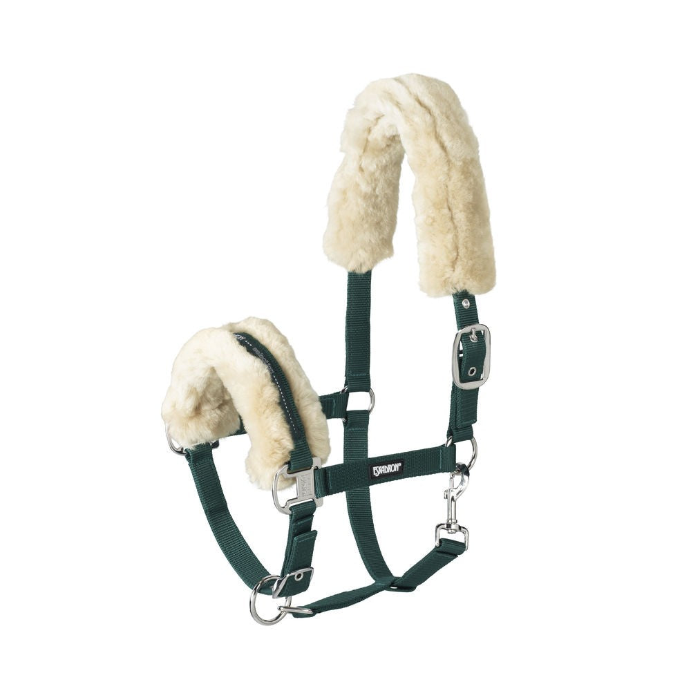 Licol Basics doublé mouton - Eskadron