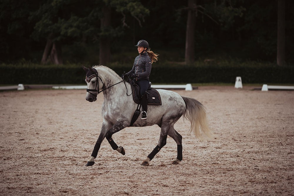 Tapis de selle Dark Sky MIXTE - Equestrian Stockholm