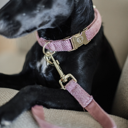 Wool dog leash 2 m - Kentucky