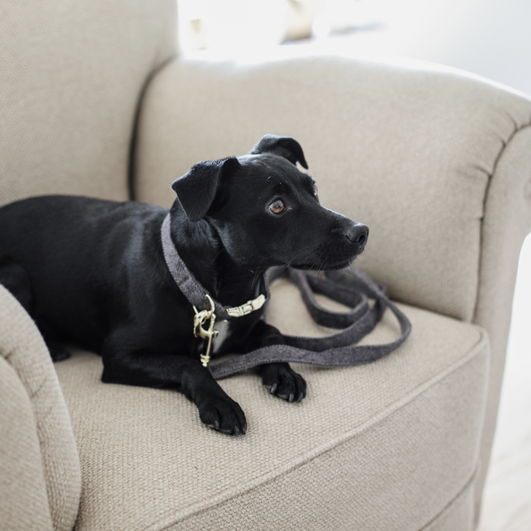 Wool dog leash 2 m - Kentucky
