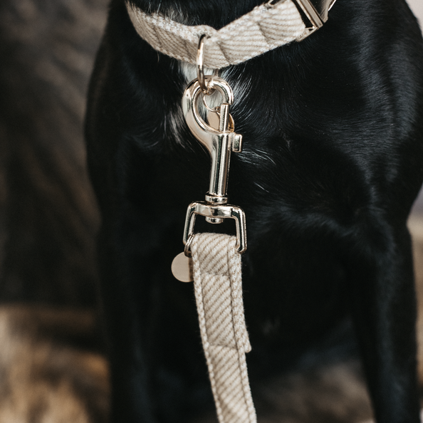 Wool dog leash 2 m - Kentucky