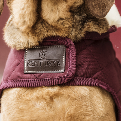 Manteau pour chien Original - Kentucky