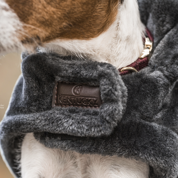 Faux fur dog coat - Kentucky