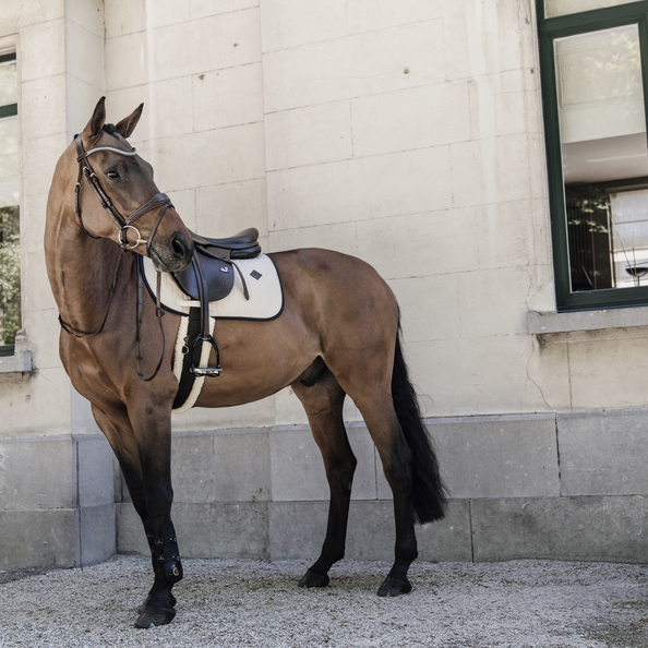 Tapis Softshell MIXTE - Kentucky