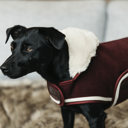 Heavy Fleece dog coat - Kentucky
