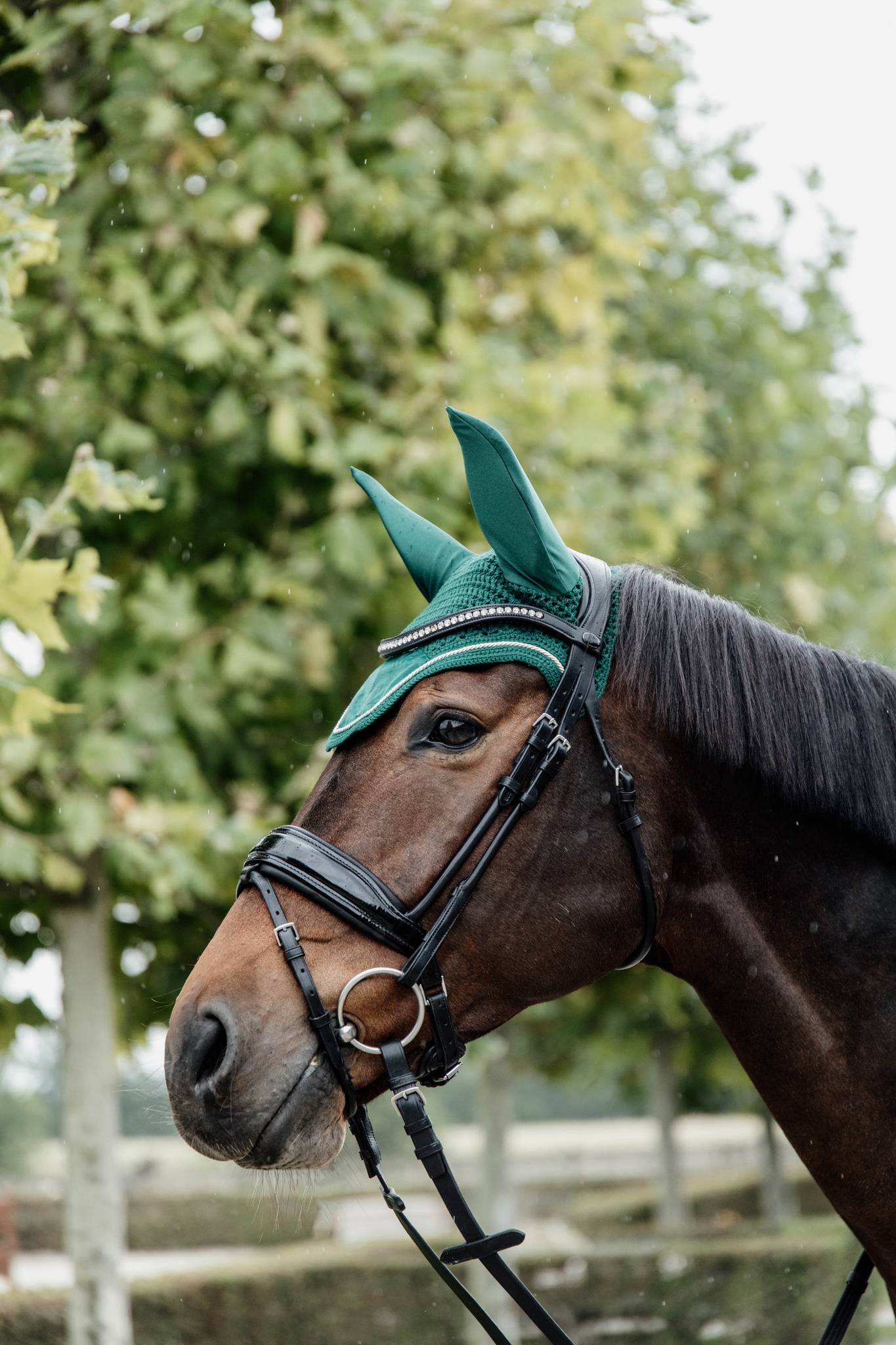 Fir Green Velvet Wellington Hat - Kentucky