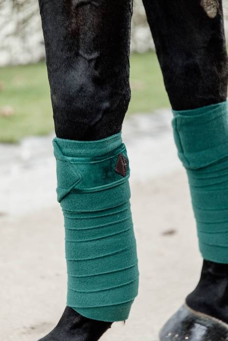 Velvet Polo Bands - Kentucky