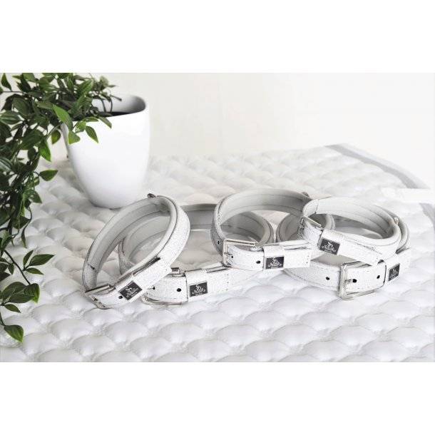 Collier pour chien Hollywood Glamorous - SD Design