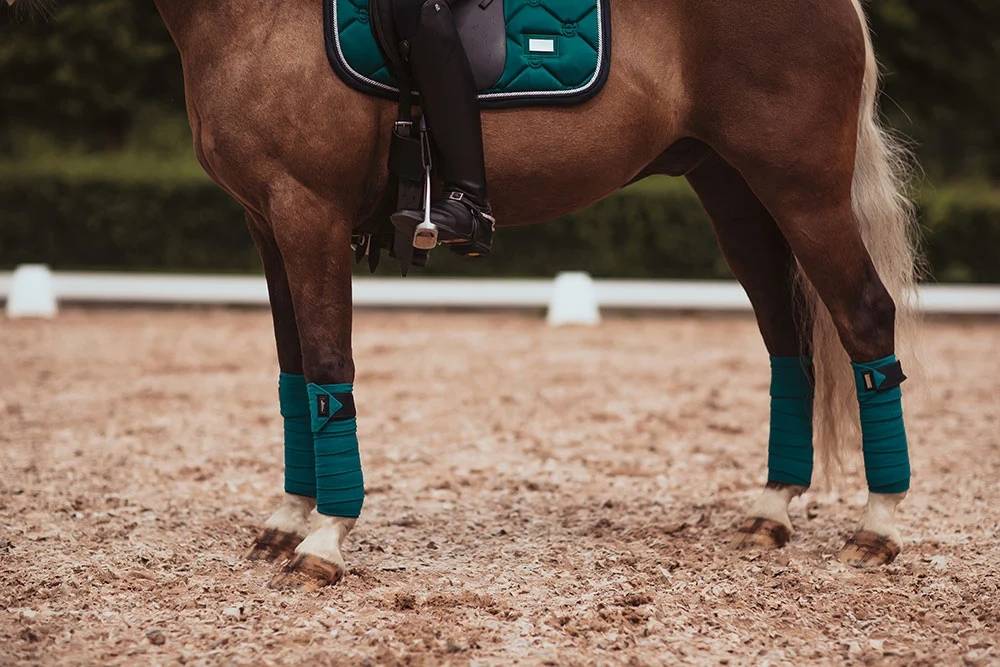 Equestrian Stockholm Polo Bands - Emerald