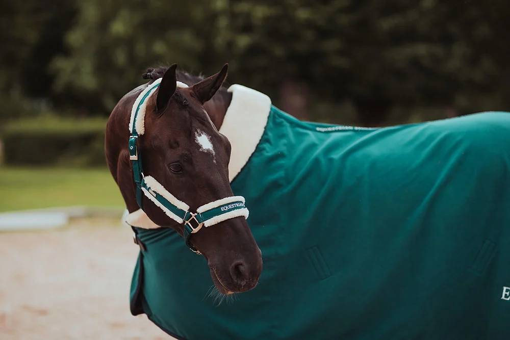 Licol doublé mouton et longe Equestrian Stockholm - Emerald