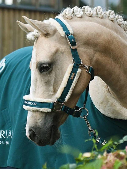 Licol doublé mouton et longe Equestrian Stockholm - Emerald