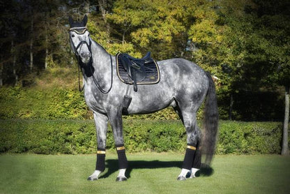 Tapis de selle Noir/Or - EQUITO