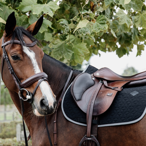 Tapis Softshell MIXTE - Kentucky