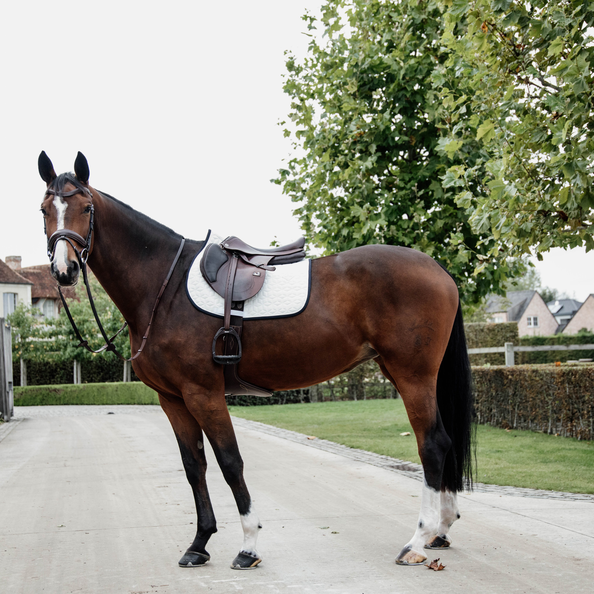 Tapis Softshell MIXTE - Kentucky