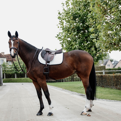 Tapis Softshell MIXTE - Kentucky
