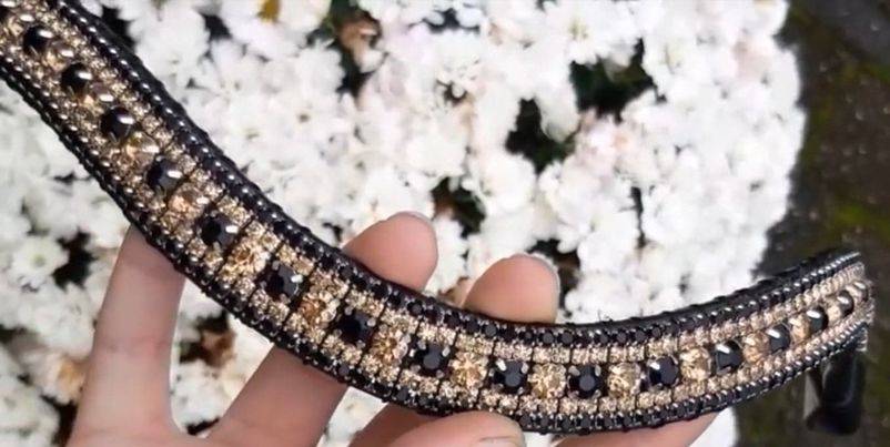 Rhinestone browband - Black and gold
