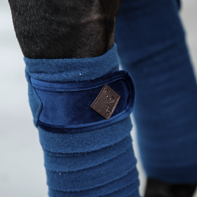 Basic Velvet Polo Bands - Kentucky