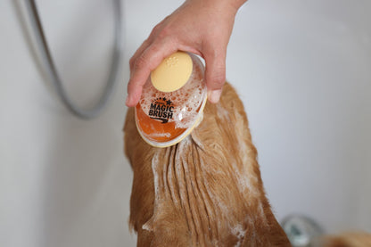 Brosse shampoing - Magic Brush