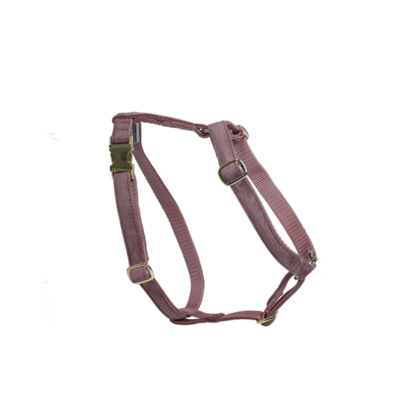 Velvet Dog Harness - Kentucky