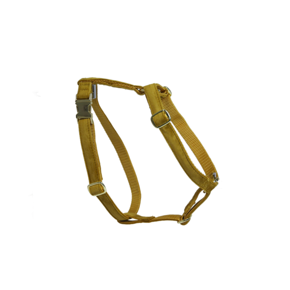 Velvet Dog Harness - Kentucky