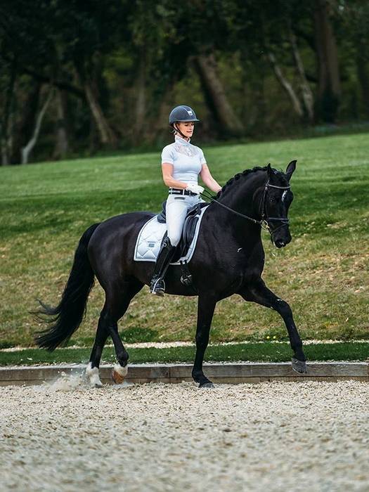 White Perfection Silver saddle pad - Equestrian Stockholm
