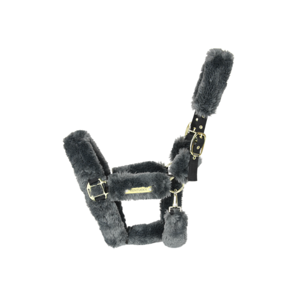 Licol de transport mouton - Kentucky