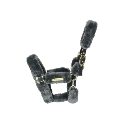 Licol de transport mouton - Kentucky