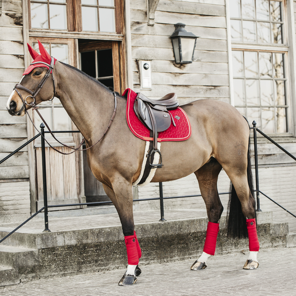 Bandes de polo Velvet  - Kentucky