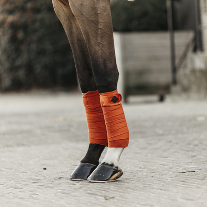 Bandes de polo Velvet  - Kentucky