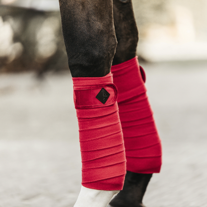 Bandes de polo Velvet  - Kentucky