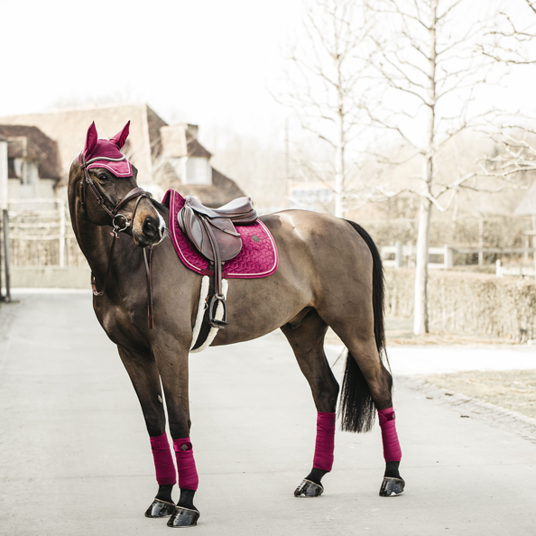 Wellington Velvet Fuchsia Beanie - Kentucky